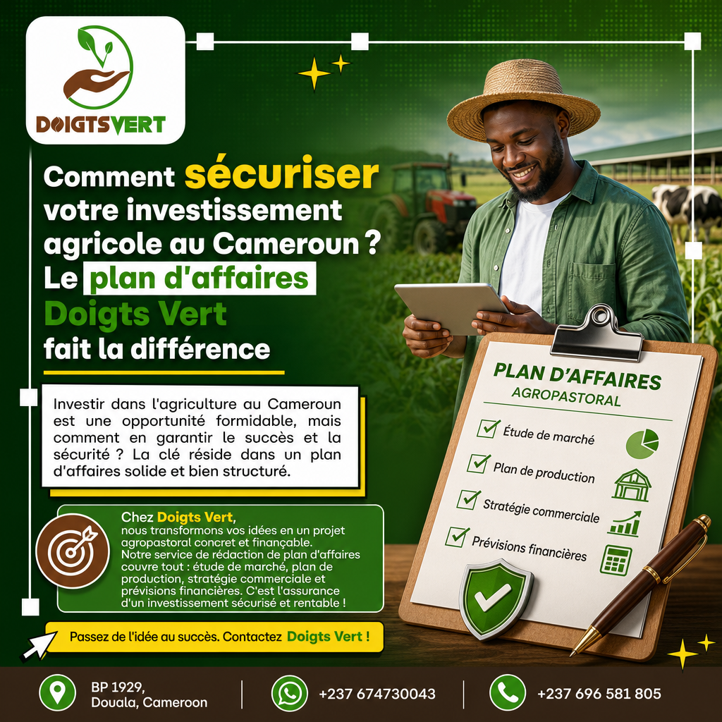 Comment sécuriser votre investissement agricole au Cameroun ? Le plan d'affaires Doigts Vert fait la différence — Doigts Vert