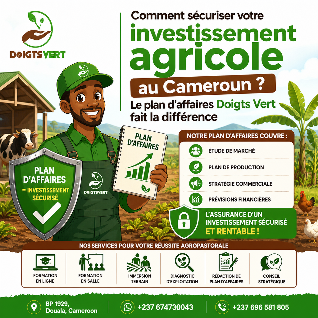 Comment sécuriser votre investissement agricole au Cameroun ? Le plan d'affaires Doigts Vert fait la différence — Doigts Vert